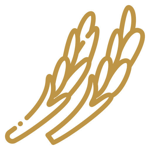 wheat